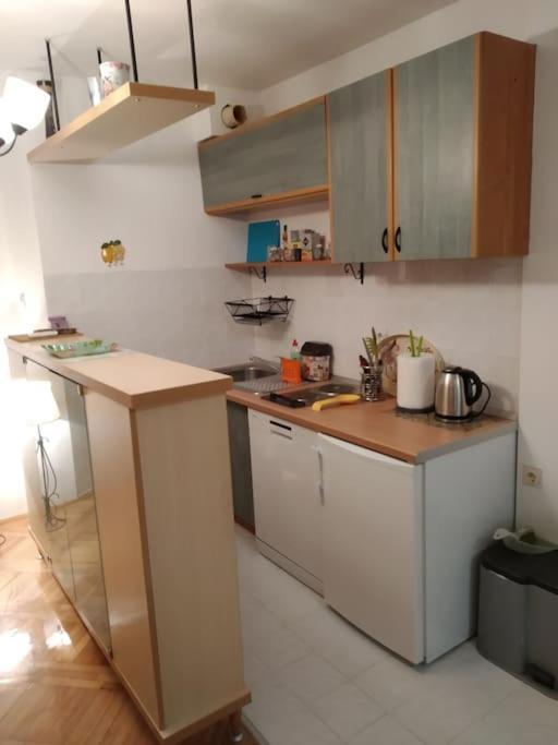Alex Apartment Zemun Exterior photo